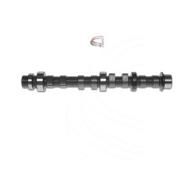 Nockenwelle CP16216 von CAMPRO günstig für 256,64 € online kaufen
