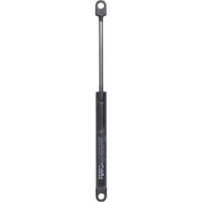 Motorhaubendämpfer 9121100 von DIEDERICHS günstig für 20,75 € online kaufen
