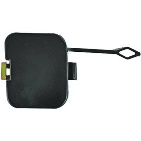 Klappe, Abschlepphaken 1214165 von DIEDERICHS günstig für 16,32 € online kaufen