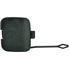 Klappe, Abschlepphaken 1214665 von DIEDERICHS günstig für 16,10 € online kaufen