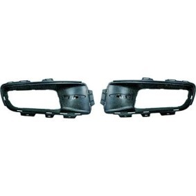 Compre Componentes para farol de nevoeiro de DIEDERICHS online para X5 (E70) a preços moderados