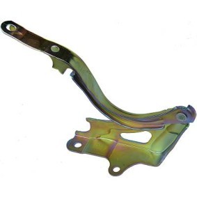 Scharnier, Motorhaube 6522818 von DIEDERICHS günstig für 25,45 € online kaufen