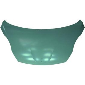 Motorhaube 4211100 von DIEDERICHS günstig für 291,34 € online kaufen