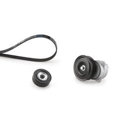 Achetez des Kit de courroie d'accessoire de chez GATES en ligne pour Fiesta Mk4 Van (JVS) à prix modérés