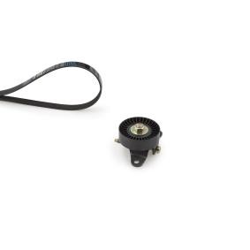 Comprar Juego de correas trapeciales poli V de GATES K025PK1140 a bajo precio de 131,23 €
