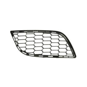 Acquista Griglia paraurti da BLIC 6502-07-0105998P a buon mercato per soli 32,37 €