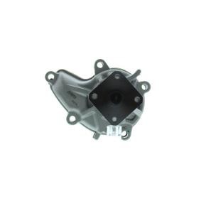 Achetez des Pompe à eau de chez AISIN en ligne pour BLUEBIRD Hatchback (T72, T12) à prix modérés