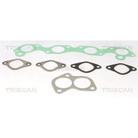 Dichtungssatz, Ansaug- / Abgaskrümmer 595-8080 von TRISCAN günstig für 27,59 € online kaufen