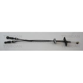 Seilzug, Schaltgetriebe 8140 43702 von TRISCAN günstig für 122,73 € online kaufen
