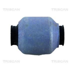 Acquista Supporto braccio oscillante da TRISCAN 8500 12804 a buon mercato per soli 31,16 €