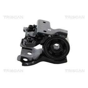 Acquista Supporto braccio oscillante da TRISCAN 8500 40811 a buon mercato per soli 74,84 €