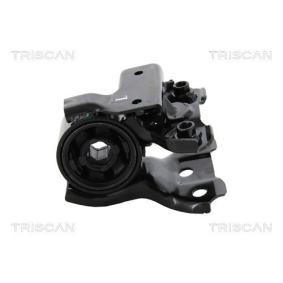 Acquista Supporto braccio oscillante da TRISCAN 8500 40812 a buon mercato per soli 74,84 €
