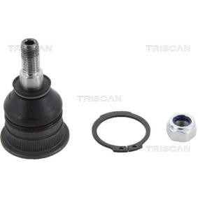 Traggelenk von TRISCAN