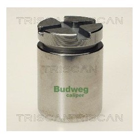 Temperaturschalter, Kühlerlüfter 8625 131115 von TRISCAN günstig für 12,03 € online kaufen
