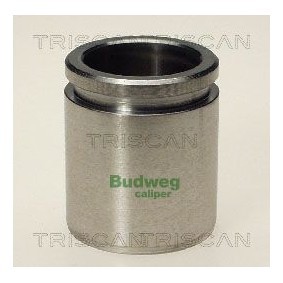 Temperaturschalter, Kühlerlüfter 8625 172105 von TRISCAN günstig für 12,03 € online kaufen