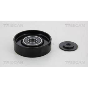 Umlenk- / Führungsrolle, Keilrippenriemen 8641 132008 von TRISCAN günstig für 69,46 € online kaufen