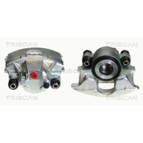 Spannrolle, Keilrippenriemen 8641 163021 von TRISCAN günstig für 77,60 € online kaufen