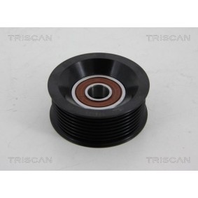 Umlenk- / Führungsrolle, Keilrippenriemen 8641 502006 von TRISCAN günstig für 65,08 € online kaufen