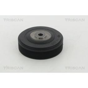 Riemenscheibe, Kurbelwelle 8643 25009 von TRISCAN günstig für 97,70 € online kaufen