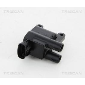 Zündspule 8860 13024 von TRISCAN günstig für 81,74 € online kaufen