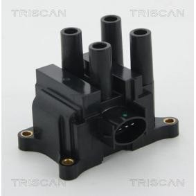 Zündspule von TRISCAN