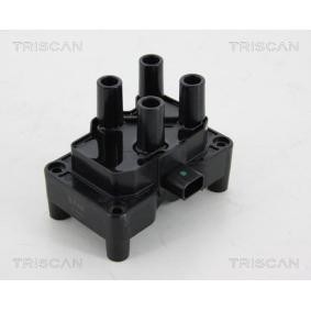 Zündspule von TRISCAN