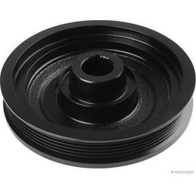 Comprar Polea de cigüeñal de HERTH+BUSS JAKOPARTS J1094011 a bajo precio de 61,87 €