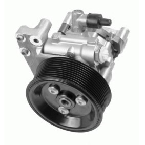 Köp Servopump av ZF LENKSYSTEME 7697.955.124 till det låga priset 12309,56 kr