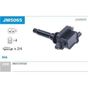 Zündspule JM5065 von JANMOR günstig für 27,74 € online kaufen
