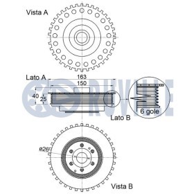Hydrostößel für RENAULT von RUVILLE