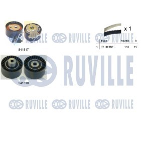 Wasserpumpe 65256 von RUVILLE günstig für 49,32 € online kaufen