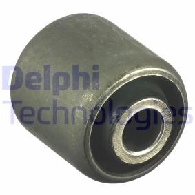 Lagerung, Lenker von DELPHI