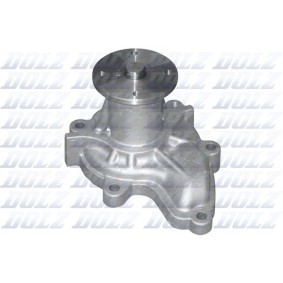 Achetez des Pompe à eau de chez DOLZ en ligne pour BLUEBIRD Hatchback (T72, T12) à prix modérés