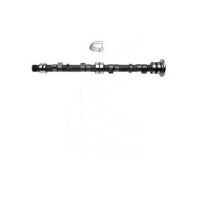 Nockenwelle CP10606 von CAMPRO günstig für 318,84 € online kaufen