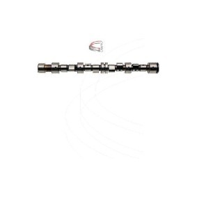 Nockenwelle CP12241 von CAMPRO günstig für 318,84 € online kaufen