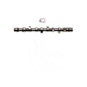 Nockenwelle CP15019 von CAMPRO günstig für 434,28 € online kaufen