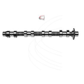 Nockenwelle CP15025 von CAMPRO günstig für 306,55 € online kaufen
