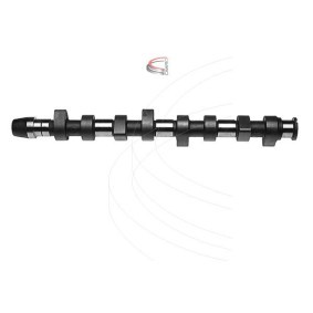 Nockenwelle CP16213 von CAMPRO günstig für 278,67 € online kaufen
