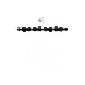 Nockenwelle CP16363 von CAMPRO günstig für 297,32 € online kaufen