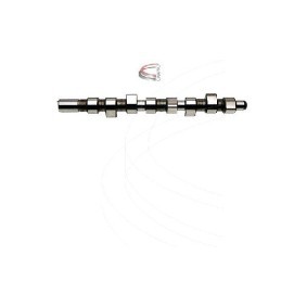 Nockenwelle CP16392 von CAMPRO günstig für 284,96 € online kaufen