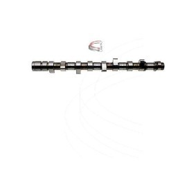Nockenwelle CP16462 von CAMPRO günstig für 517,69 € online kaufen