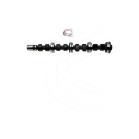 Nockenwelle CP16463 von CAMPRO günstig für 456,60 € online kaufen