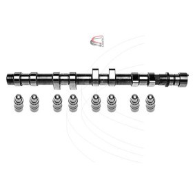 Nockenwellensatz CP62231 von CAMPRO günstig für 1131,39 € online kaufen