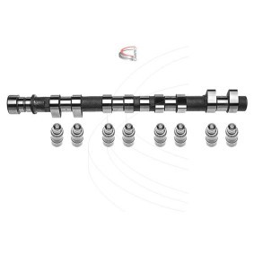 Nockenwellensatz CP62233 von CAMPRO günstig für 1066,27 € online kaufen