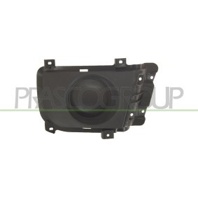 Tür, Karosserie HN3313503 von PRASCO günstig für 381,30 € online kaufen