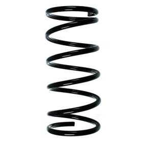 Fahrwerksfeder 55063 von SPIDAN günstig für 54,33 € online kaufen