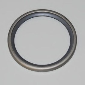 Dichtung, Thermostat für IVECO von WAHLER