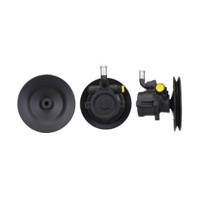 Acquista Pompa idraulica, sterzo da DRI 715520089 a buon mercato per soli 170,26 €