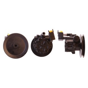Servopumpe 715521137 von DRI günstig für 205,80 € online kaufen