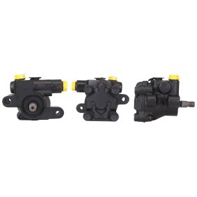 Acquista Pompa idraulica, sterzo da DRI 715521301 a buon mercato per soli 207,25 €